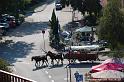 Rhin et Vieux-Brisach - 12 septembre 2009 (84)